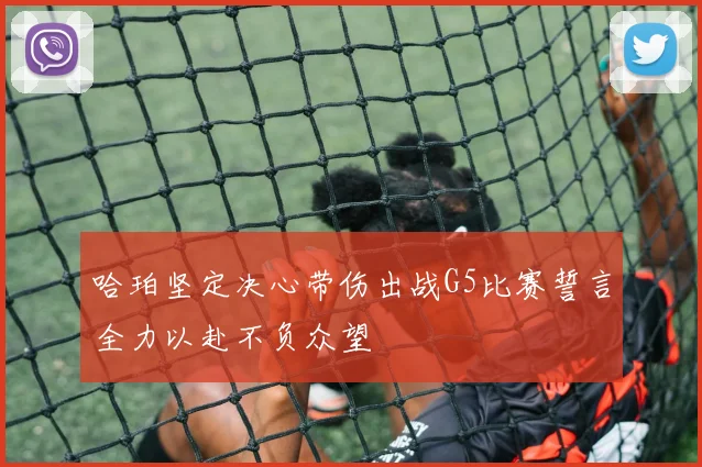 哈珀坚定决心带伤出战G5比赛誓言全力以赴不负众望