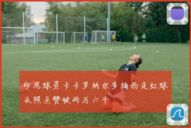 印尼球员卡卡罗纳尔多梅西走红球衣照点赞破两万六千