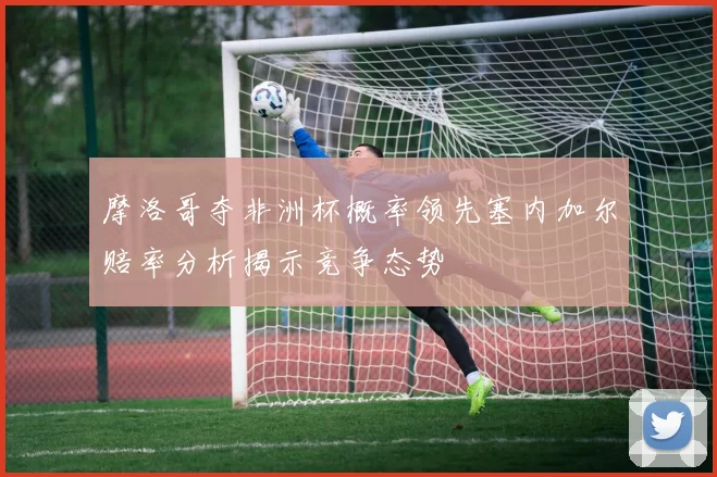摩洛哥夺非洲杯概率领先塞内加尔赔率分析揭示竞争态势